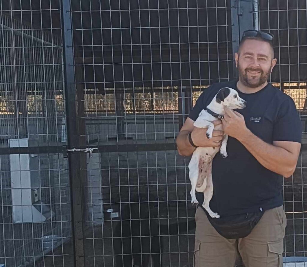 Συνεχές το ενδιαφέρον του Δήμου Καστοριάς για τα αδέσποτα