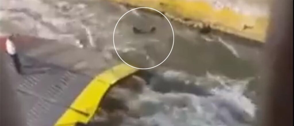 “Blue Horizon”: Σοκάρει νέο ηχητικό ντοκουμέντο από τις συνομιλίες του πληρώματος – “Πάτε καλά ρε; Τι έγινε;”