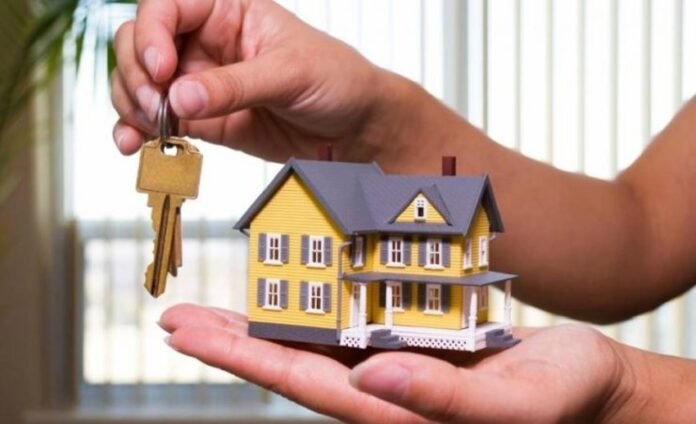 11222_metavivash_akinhton (1)_0_850