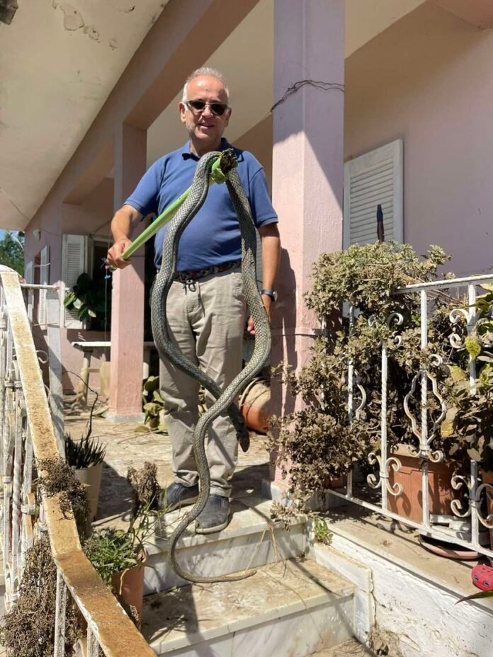 377549797_6349133141882251_2860847059981728027_n