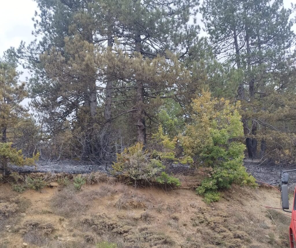 Πυρκαγιά στη Διποταμία (φωτο)