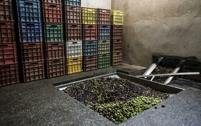 Ελαιόλαδο: Στήθηκαν «πάγκοι» στο facebook