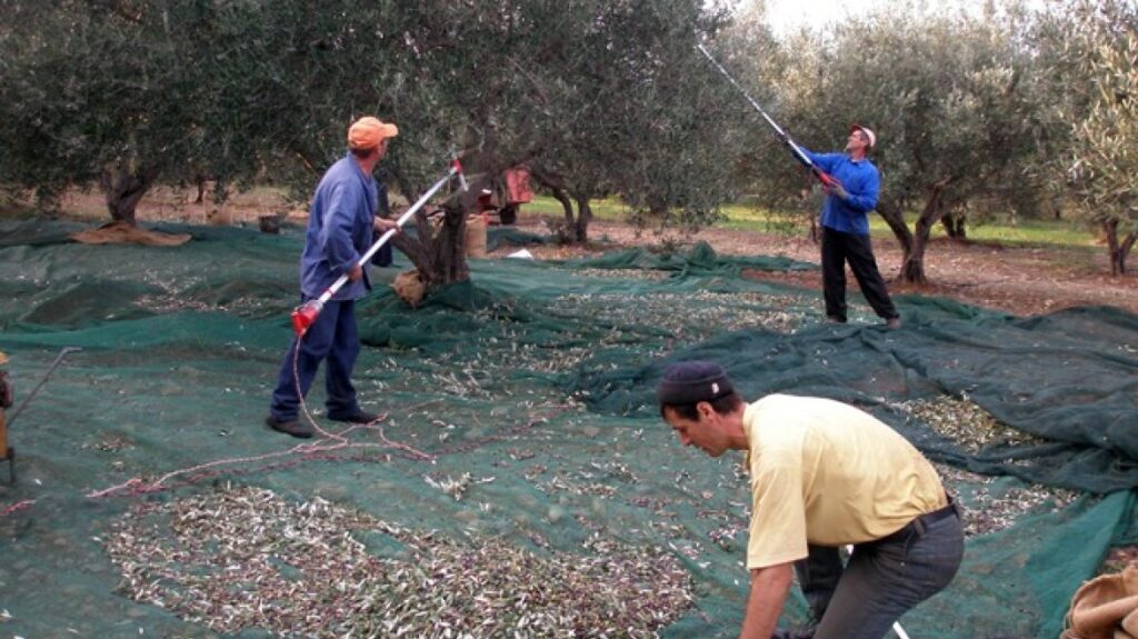 Η επιδοτούμενη…. μετανάστευση στην Καστοριά! (Του Δημήτρη Ιατρίδη)