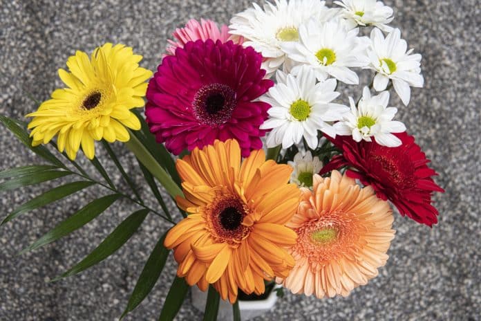 Εορτολόγιο: Πολλαπλή γιορτή σήμερα, που θα πούμε χρόνια πολλά