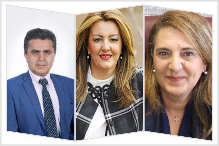 Τα Πόθεν Έσχες των βουλευτών Αντωνίου, Τζηκαλάγια, Τελιγιορίδου