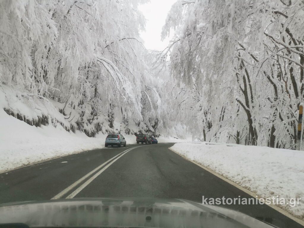 Τροχαίο με εκπαιδευτικούς στον οδικό άξονα Φλώρινας-Καστοριάς,