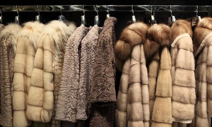 To νέο Δ.Σ. του Συνδέσμου Γουνοποιών Άργους Ορεστικού και Περιχώρων