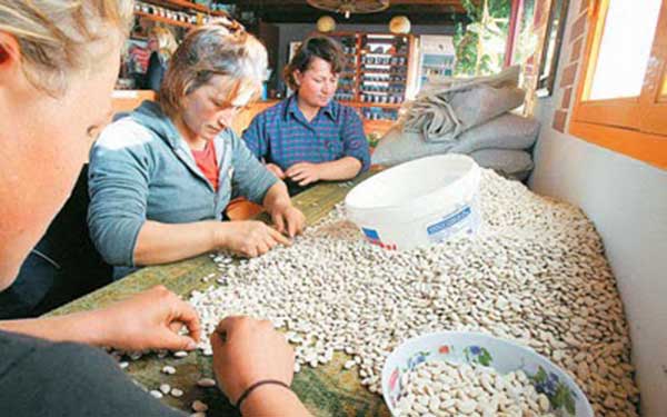 Καστοριά: Πρόσκληση σε Γενική Συνέλευση των Αγροτών