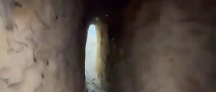 1100_cee555eb-0318-4644-aa77-0f3c9b4c64e5