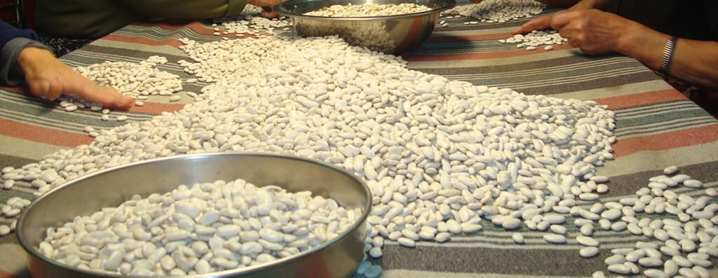 Φασόλια Καστοριάς: Από 4.50€ στο χωράφι, 12.60€ στο ράφι!