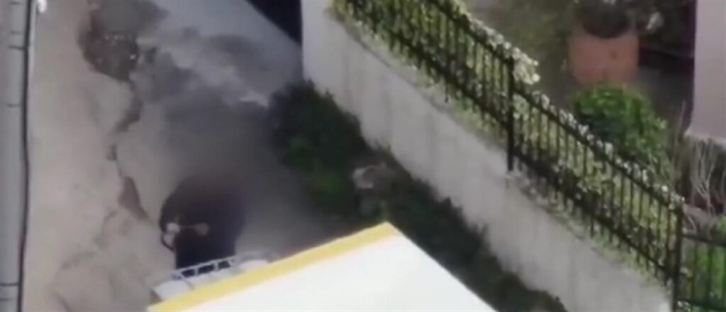 Νοθευμένα ποτά και καύσιμα: οι διάλογοι και η επιχείρηση με τα drones (βίντεο)