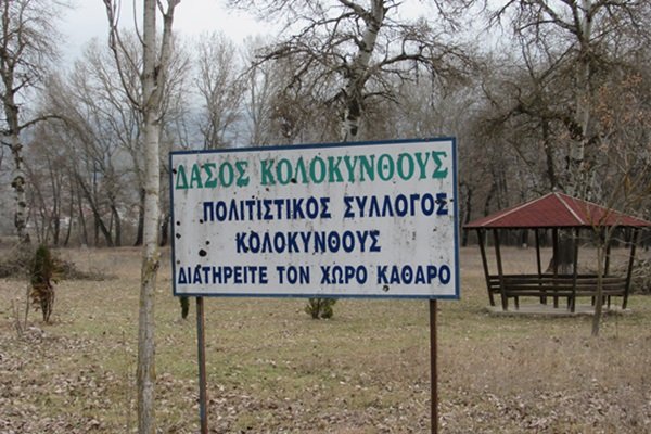 Κούλουμα στο Δασάκι της Κολοκυνθούς