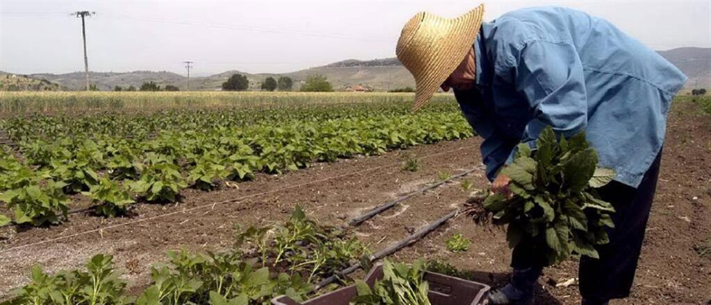 “Κάρτα του Αγρότη” 2024: Πότε ενεργοποιείται