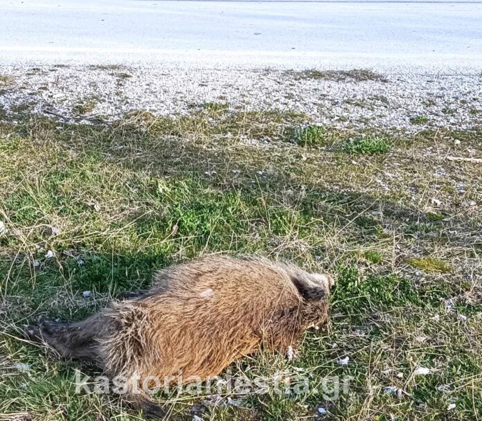 434541489_457761906687681_6333542833362494778_n