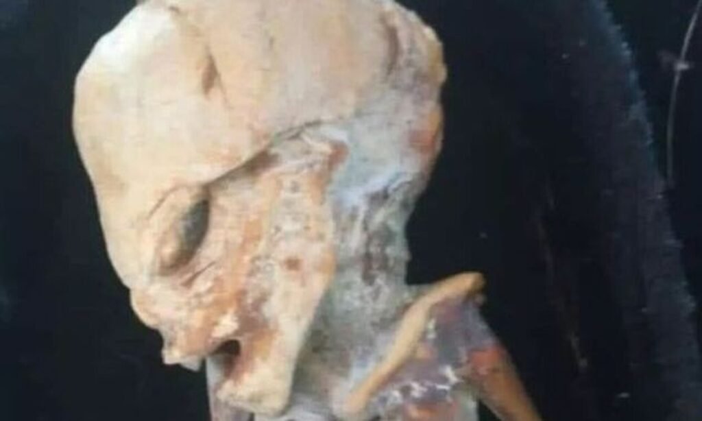 Μεξικό: Ερευνητής εντόπισε «εξωγήινο μωρό» σε σπηλιά – Απόκοσμες εικόνες