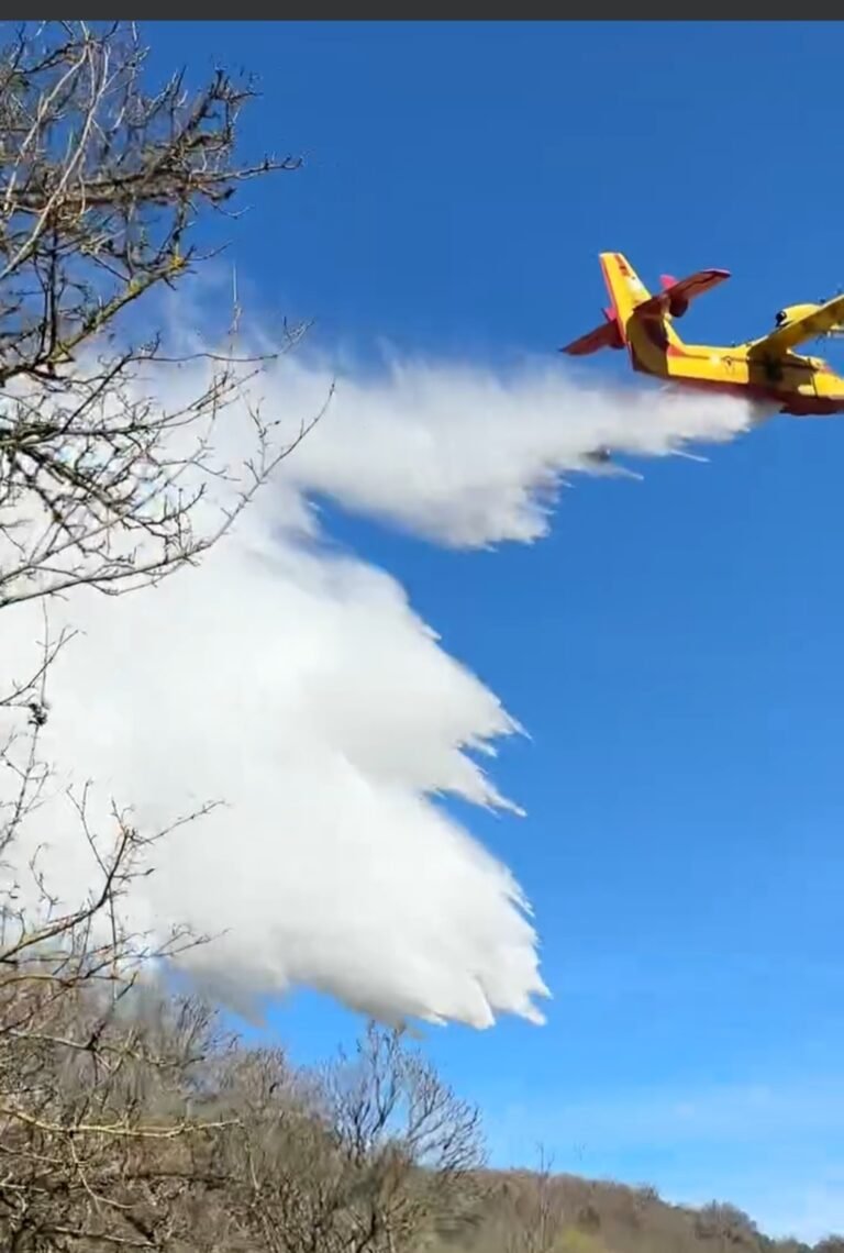 Πρέσπες: Φωτιά σε Δασική έκταση στην Πύλη με τη συμμετοχή και καναντέρ