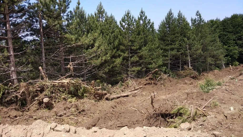 Σαν τα μανιτάρια φυτρώνουν οι ανεμογγενήτριες στο Βίτσι – 150 μέχρι στιγμής