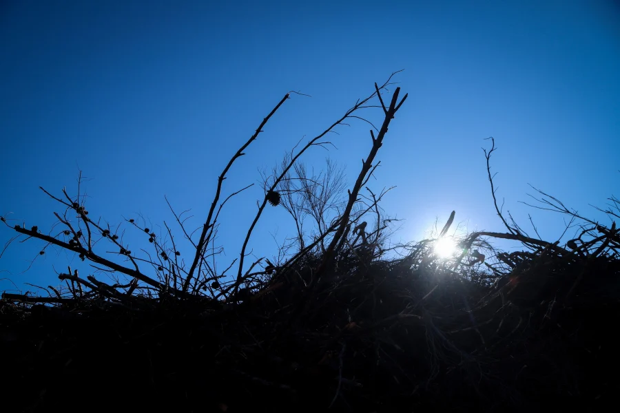 Χαμός με τα ακαθάριστα οικόπεδα, τις καταγγελίες και τη δήλωση στην πλατφόρμα