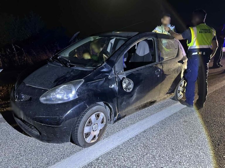 Αυτοκίνητο συγκρούστηκε με αρκούδα στην αερογέφυρα του Άργους Ορεστικού