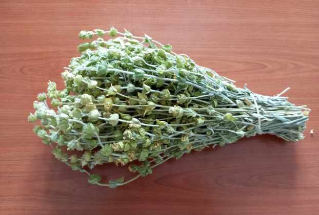 30 Ιουνίου : Γιορτή Τσαγιού στο Δήμο Νεστορίου με την Υποστήριξη της Περιφερειακής Ενότητας Καστοριάς