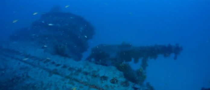 1000_cf4e78ca-e030-4574-9ab4-793186761493