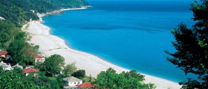 1000_ef818e3e-0b53-4039-8b1c-7f2a2f9aa0a1