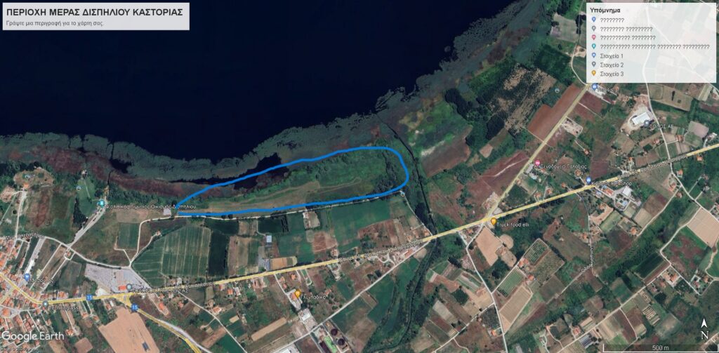 Αρκούδα επιτέθηκε σε κοπάδι προβάτων στο Δισπηλιό -Η ψυχραιμία του κτηνοτρόφου απέτρεψε τα χειρότερα