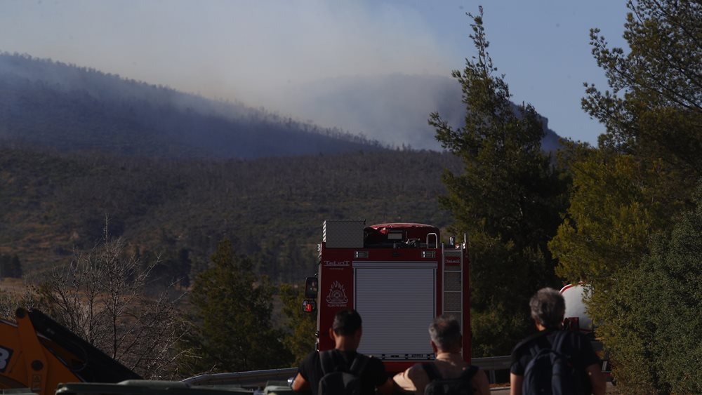 Φωτιά στο Βροντερό Πρεσπών