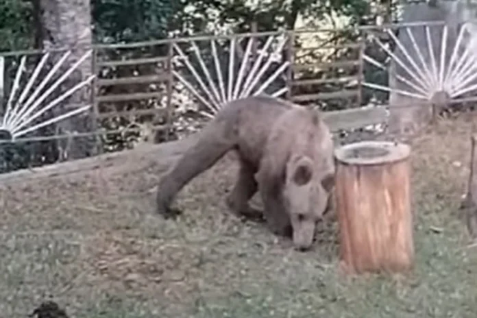 caa2f44ad4e871a39e3faea70fd73cc2_L