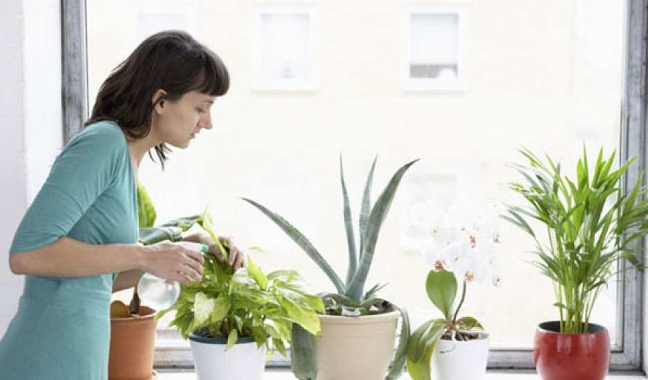 Φενγκ Σούι: Το στοιχείο που θα φέρει θετική ενέργεια σε μπαλκόνι και κήπο