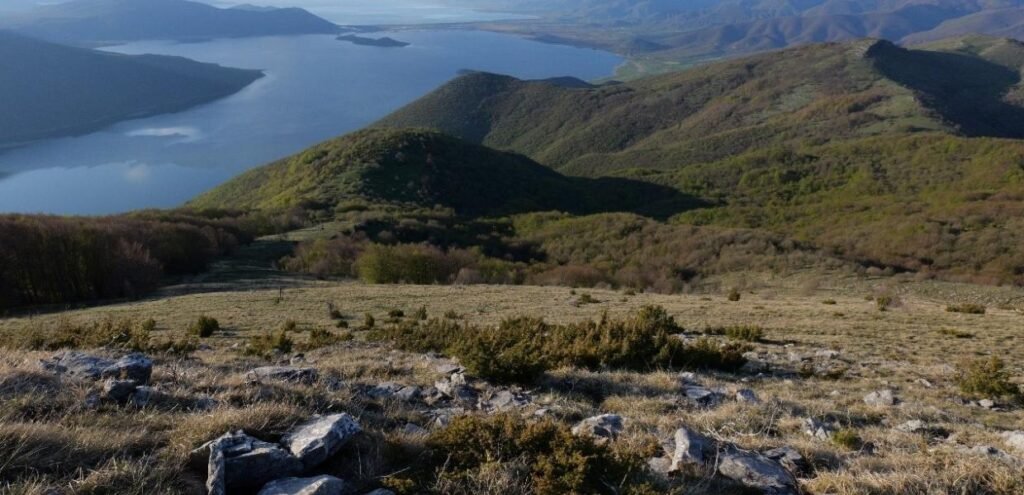 Πρέσπες / Βάζουν ανεμογεννήτριες στις παρυφές του Εθνικού Πάρκου – Sos 6 περιβαλλοντικών οργανώσεων