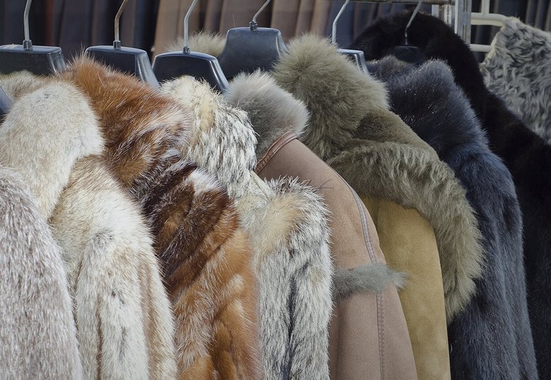 Αγανάκτηση των Γουνοποιών για τη Μηδενική Πρόοδο στο Πρόγραμμα Στήριξης “Β2” – Κάλεσμα στους Τοπικούς Βουλευτές να Αναλάβουν τις Ευθύνες τους