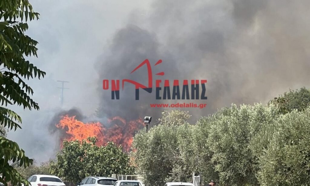 Πιερία: Εκκενώνεται η Πλάκα Λιτοχώρου λόγω της φωτιάς – Εστάλη μήνυμα από το 112