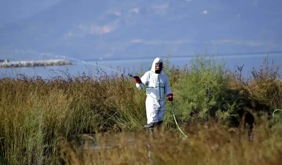 Ιός του Δυτικού Νείλου: Ο ΕΟΔΥ καλεί να προφυλαχθείτε από τα κουνούπια λόγω «ιδιαίτερα έντονης» κυκλοφορίας του ιού