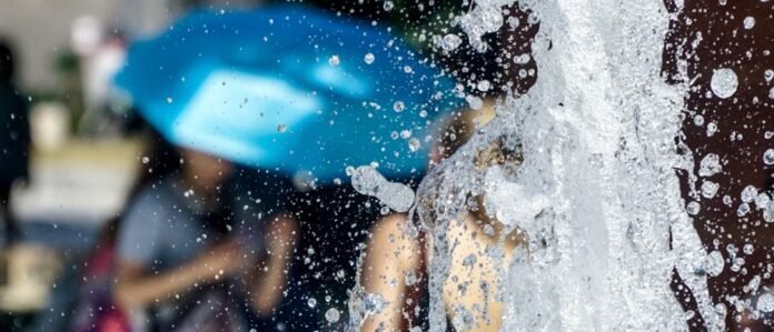 1000_4946ac81-d0d5-4558-9ad0-94f838d50944