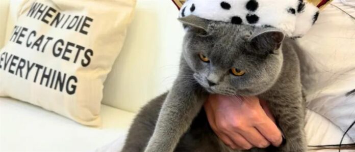 1000_7b668eab-051d-4ca2-8840-da424d615e65