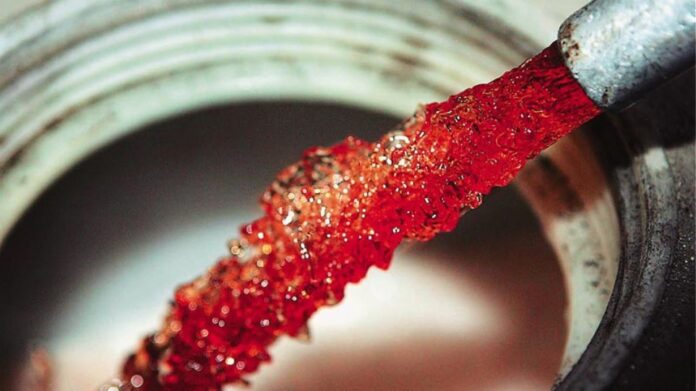 petrelaio_thermansis44