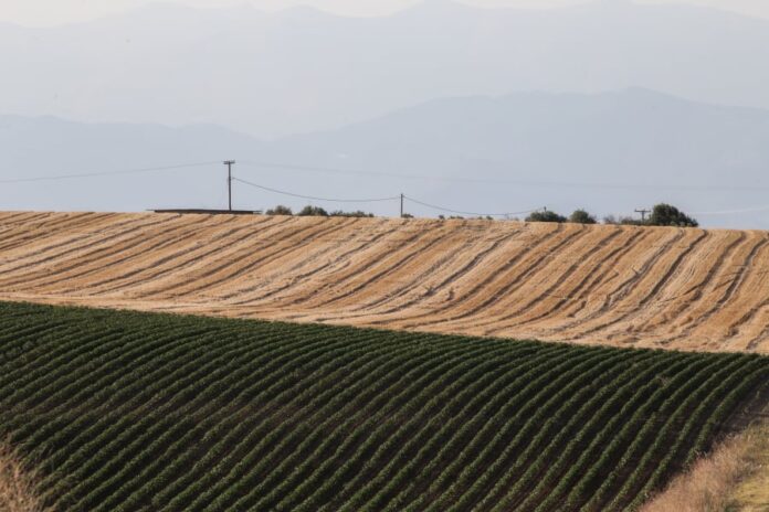 d833460393de598ac4c589ed7b8a9ed5_L