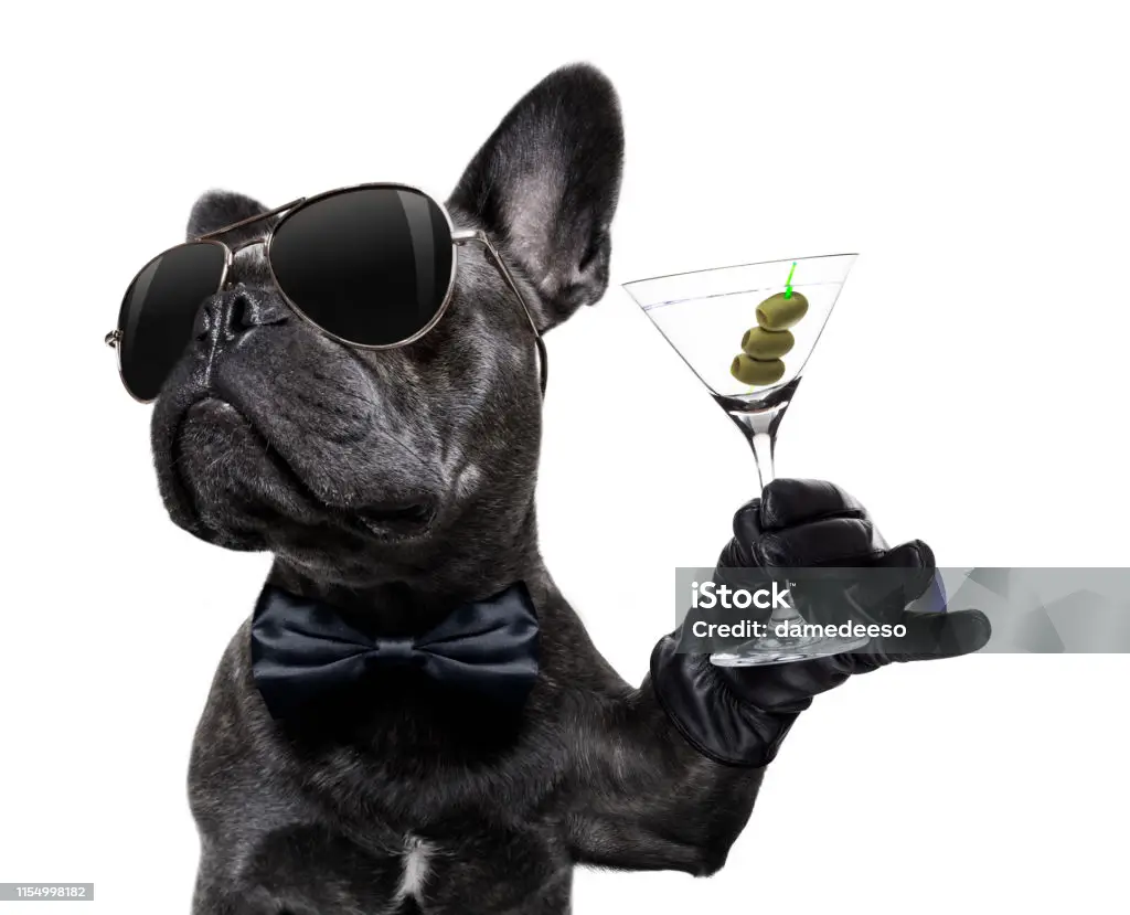 Ζώα: Και όμως λατρεύουν το αλκοόλ και μεθούν