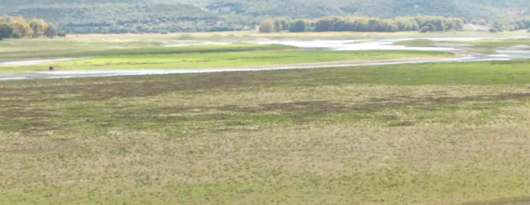 Λίμνη Πολυφύτου: Υποχωρεί επικίνδυνα η στάθμη του νερού- Ορατός ο βυθός σε αρκετά σημεία