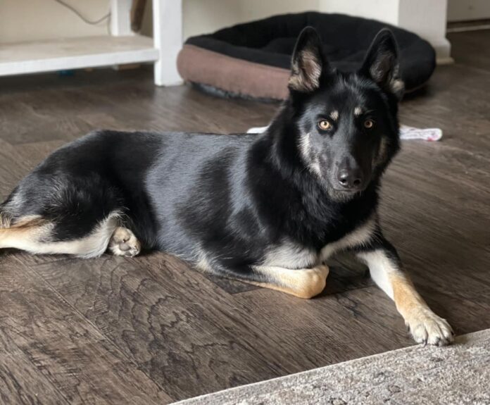 471176308_10227389025251501_8403991961641213835_n