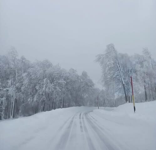 Εκτός λειτουργίας το Χιονοδρομικό Κέντρο Βιτσίου… και αυτά τα Χριστούγεννα!