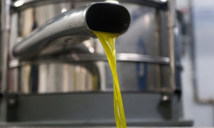 601b3c0e-elaiolado-meigma