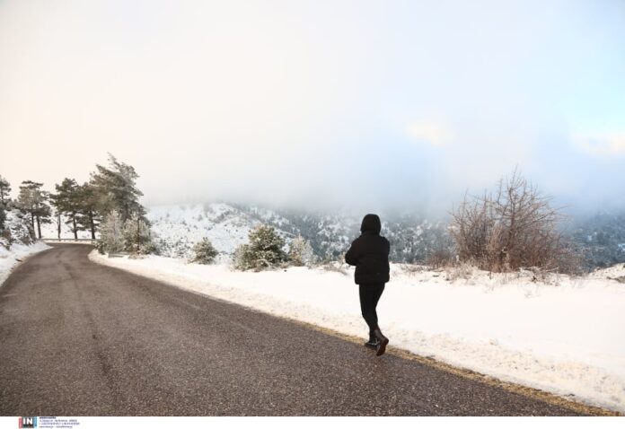 99b7bd42699408083792df4742683bee_L