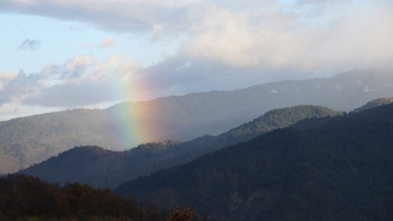 Διεθνής Ημέρα Βουνού – 11 Δεκεμβρίου (video)