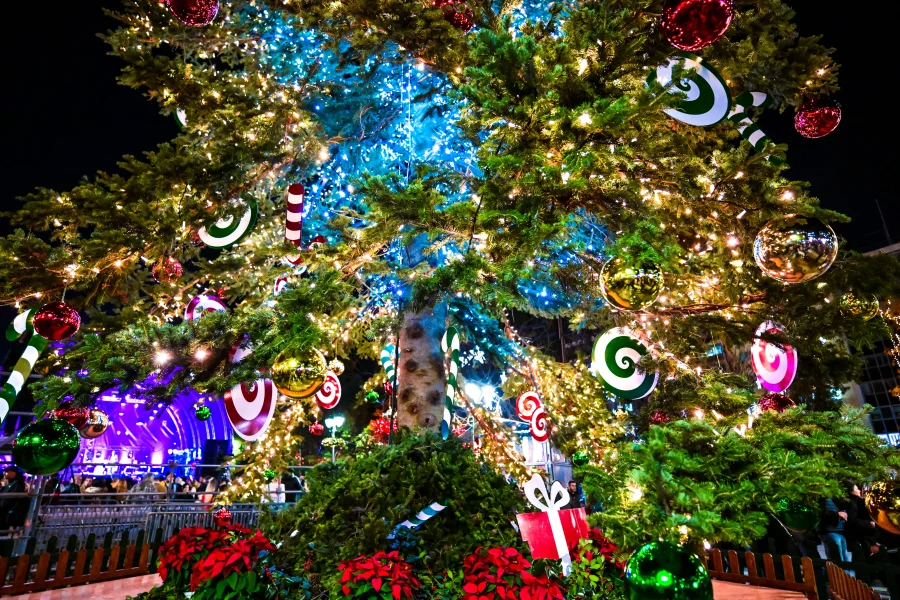 Αντίστροφη μέτρηση για την επιταγή ακρίβειας, τις συντάξεις Ιανουαρίου και το επίδομα προσωπικής διαφοράς.