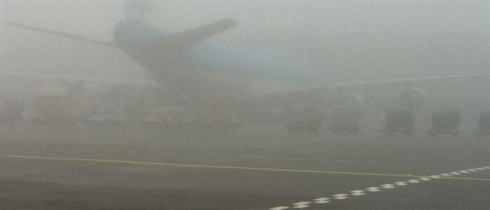 1000_61669f6f-fb40-4a0a-a85e-ac1ccfa2c424