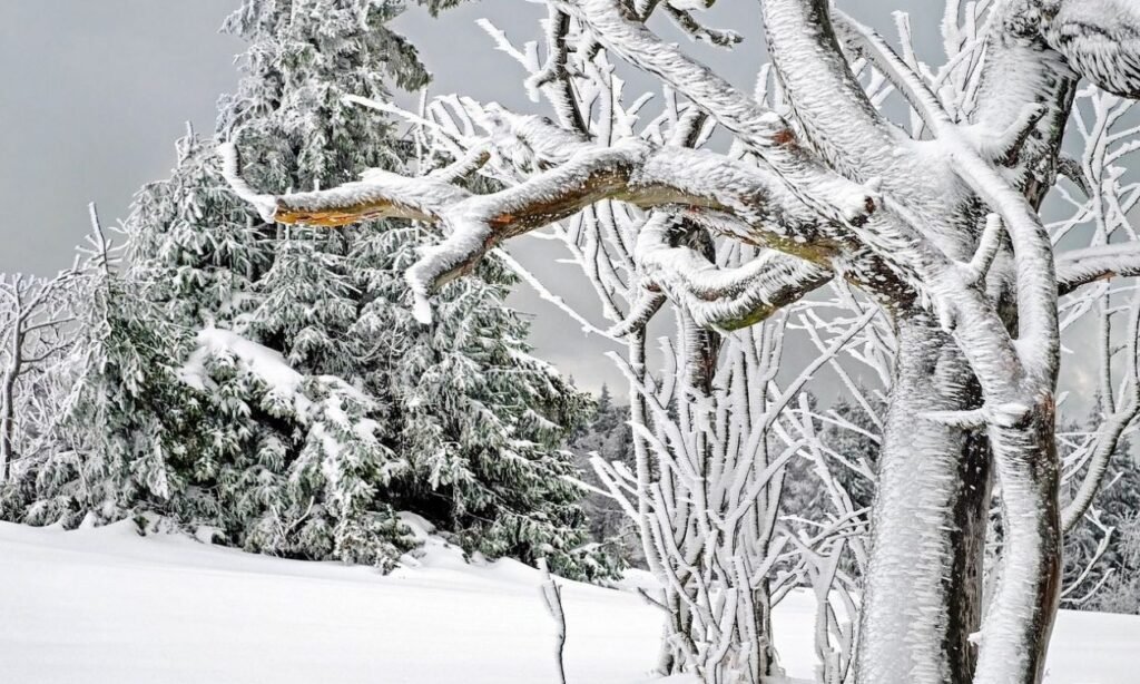 Έκτακτο δελτίο ΕΜΥ: Ισχυρές καταιγίδες, χιόνια και ραγδαία πτώση της θερμοκρασίας