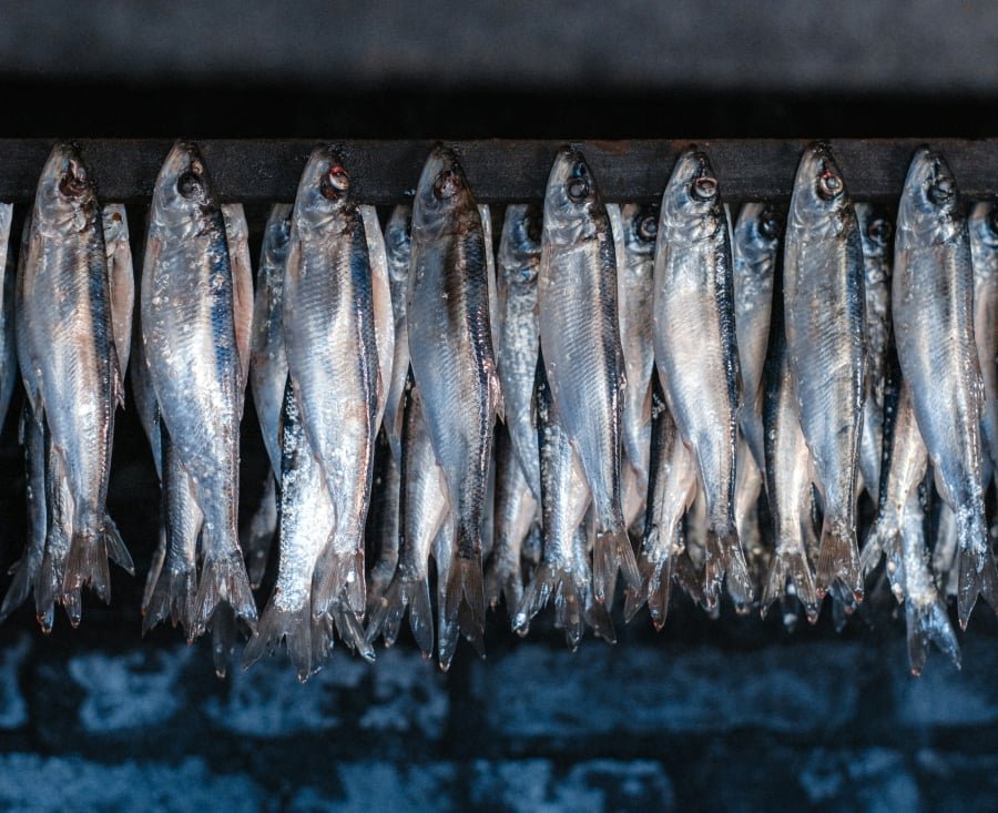 Έξι δημοφιλή θαλασσινά είναι γεμάτα μικροπλαστικά