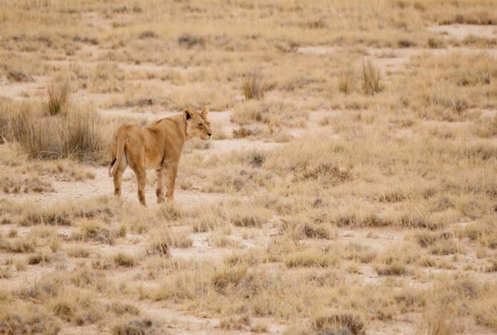 875_5f9449d2-5177-4a89-a13a-5b2c6563994d